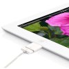 iPad-Halter für Multi Stand - Für iPad 