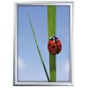 Klapprahmen mit 25mm Aluminiumprofil, silber - 50x70 cm #1