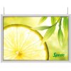 LED Slim Light Lux doppelseitig - 70 x 100 cm horizontal #1