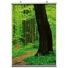 Posterleiste Doppelseitig, Satz, 21 cm - A1 - 60 cm #2