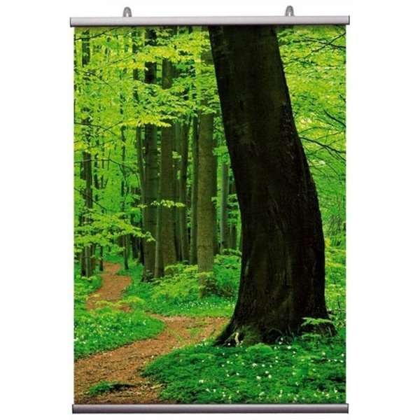 Posterleiste Doppelseitig, Satz, 21 cm - A1 - 60 cm #2