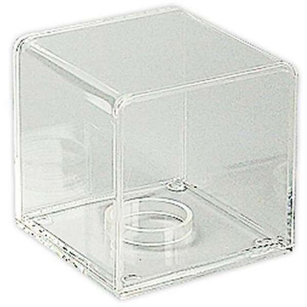 Showcase Quadratisch - Transparent #1