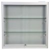 Vitrine - Showcase Wall Duo Glasvitrine mit LED-Licht und Schloss - Silber #8