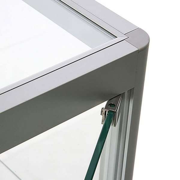 Vitrine - Showcase Counter Solo Glasvitrine mit Unterschrank, LED-Licht und Schloss - Silber #2