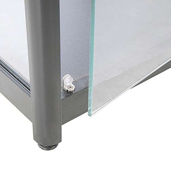 Vitrine - Showcase Counter Solo Glasvitrine mit LED-Licht und Schloss - Silber #2