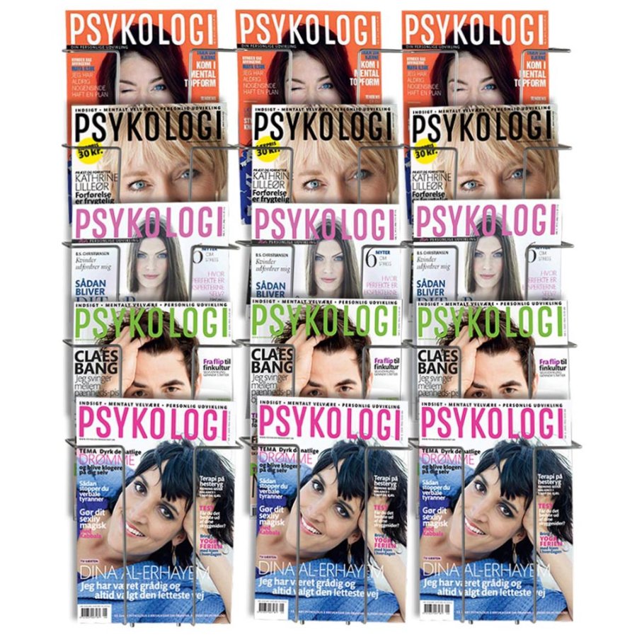 Prospekthalter f&uuml;r die Wand - 15xA4 - 21x29,7 cm