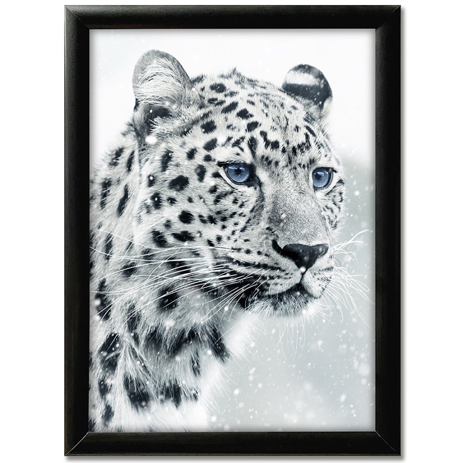 Klapprahmen mit 25mm Aluminiumprofil, schwarz - 50x70 cm