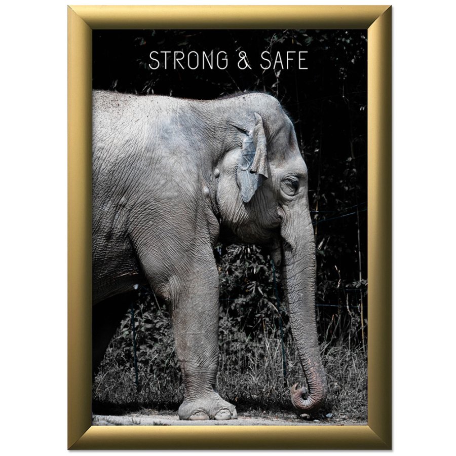 Klapprahmen mit 25mm Aluminiumprofil, gold - A4