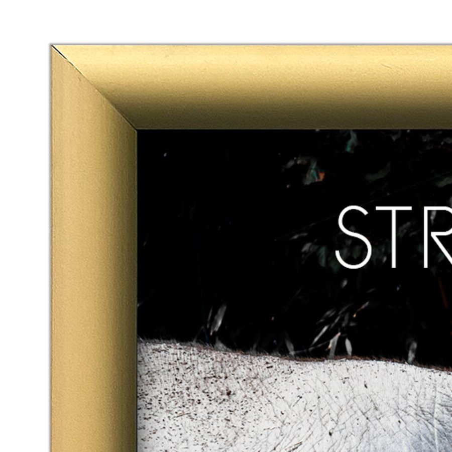 Klapprahmen mit 25mm Aluminiumprofil, Gold - A2